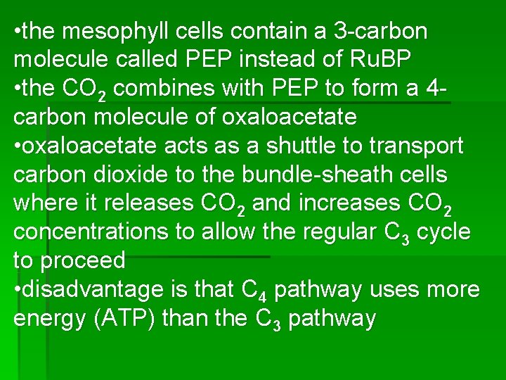  • the mesophyll cells contain a 3 -carbon molecule called PEP instead of