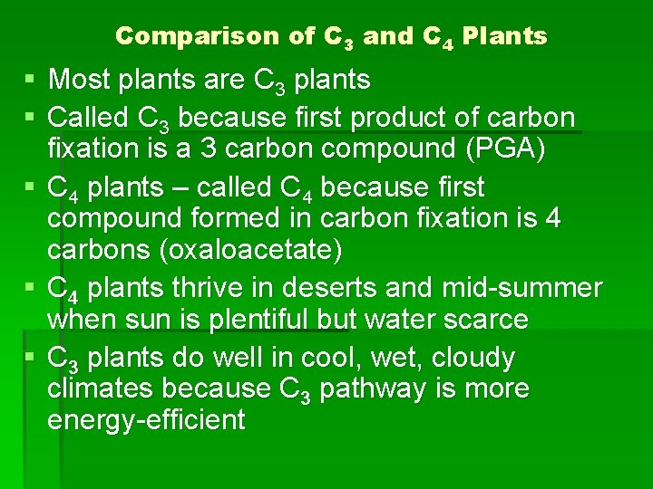 Comparison of C 3 and C 4 Plants § Most plants are C 3