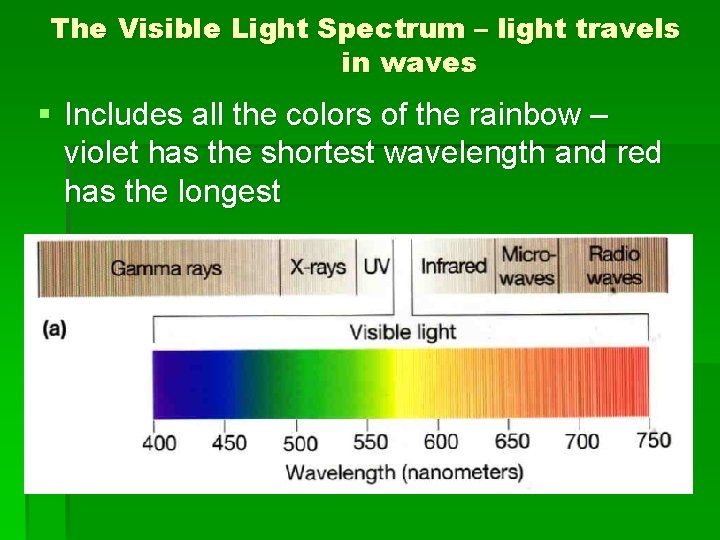 The Visible Light Spectrum – light travels in waves § Includes all the colors