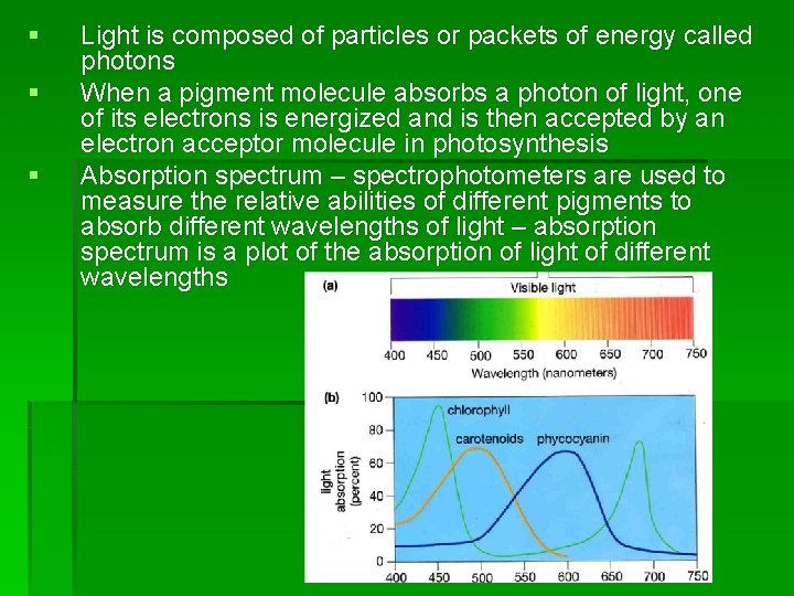 § § § Light is composed of particles or packets of energy called photons
