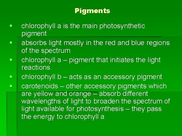 Pigments § § § chlorophyll a is the main photosynthetic pigment absorbs light mostly