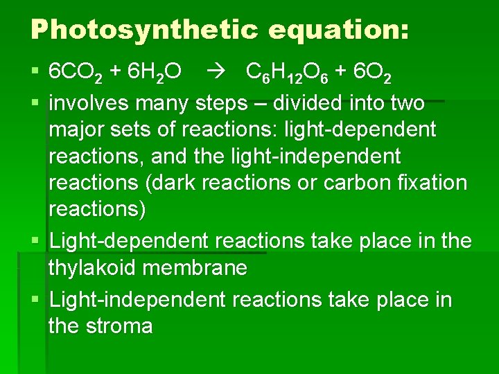 Photosynthetic equation: § 6 CO 2 + 6 H 2 O C 6 H