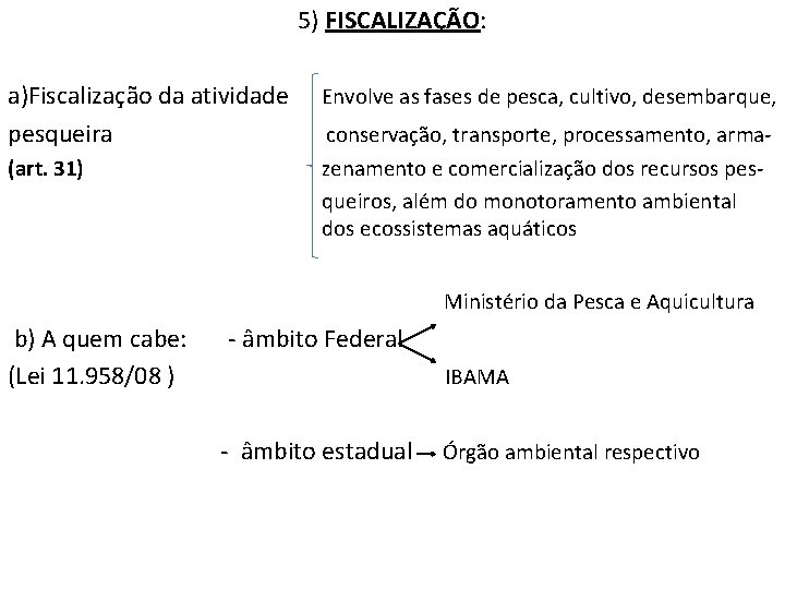 5) FISCALIZAÇÃO: a)Fiscalização da atividade pesqueira (art. 31) Envolve as fases de pesca, cultivo,