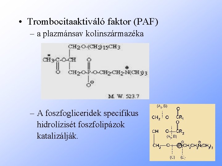  • Trombocitaaktiváló faktor (PAF) – a plazmánsav kolinszármazéka – A foszfogliceridek specifikus hidrolízisét