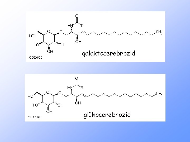 galaktocerebrozid glükocerebrozid 