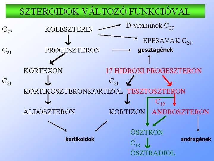 SZTEROIDOK VÁLTOZÓ FUNKCIÓVAL C 27 KOLESZTERIN D-vitaminok C 27 EPESAVAK C 24 C 21