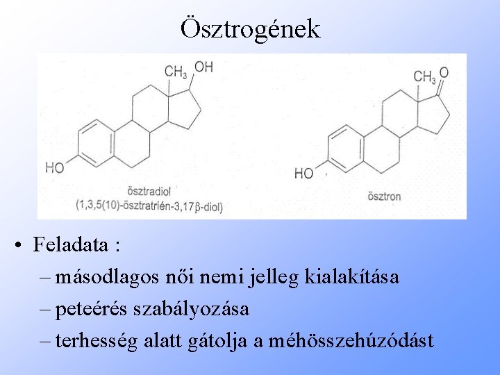 Ösztrogének • Feladata : – másodlagos női nemi jelleg kialakítása – peteérés szabályozása –