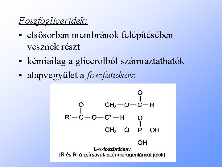 Foszfogliceridek: • elsősorban membránok felépítésében vesznek részt • kémiailag a glicerolból származtathatók • alapvegyület