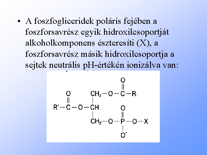  • A foszfogliceridek poláris fejében a foszforsavrész egyik hidroxilcsoportját alkoholkomponens észteresíti (X), a