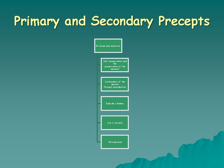 Primary and Secondary Precepts Do Good and avoid evil Self-preservation and the preservation of