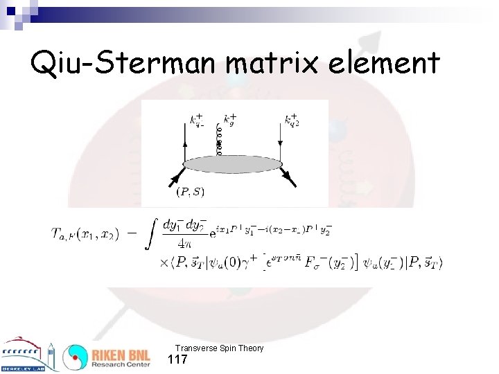 Qiu-Sterman matrix element Transverse Spin Theory 117 
