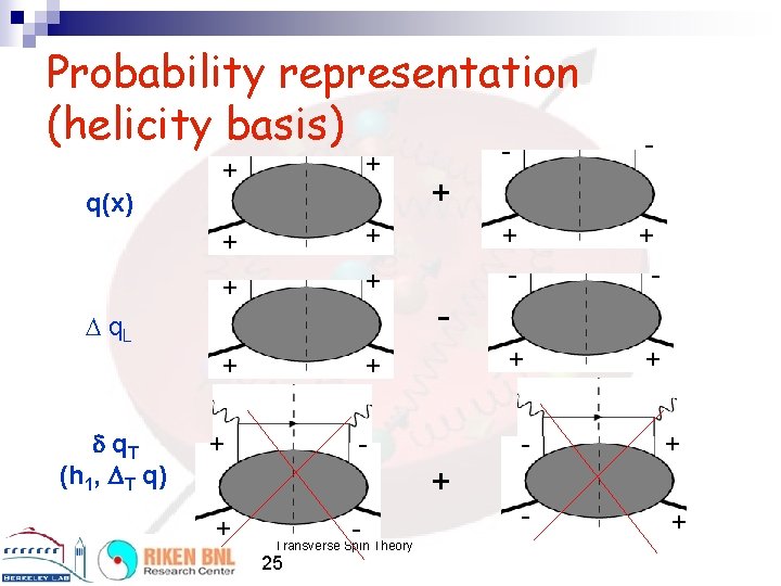Probability representation (helicity basis) + + + + q(x) q. L q. T (h