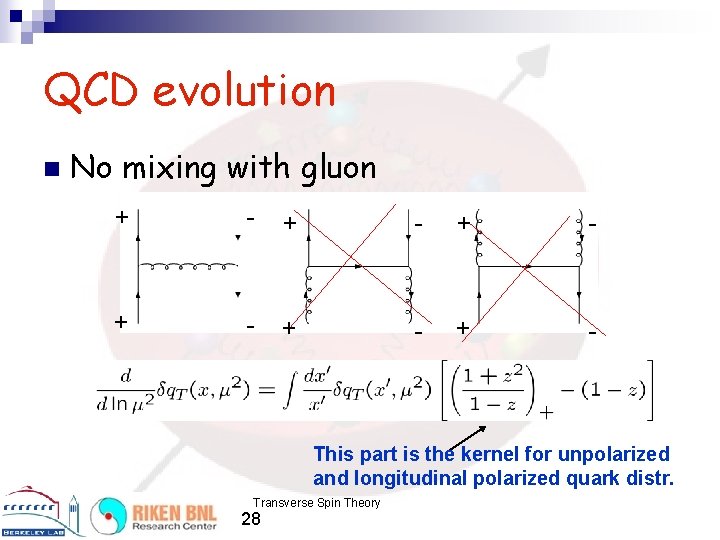QCD evolution n No mixing with gluon + - + - + - This