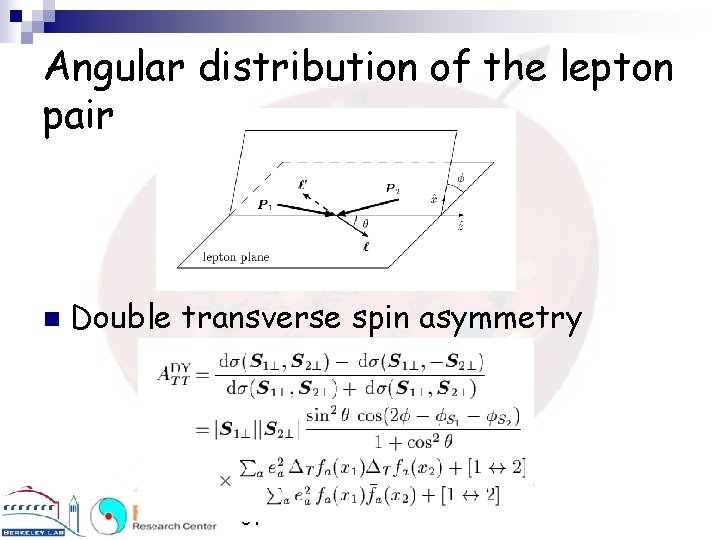Angular distribution of the lepton pair n Double transverse spin asymmetry Transverse Spin Theory