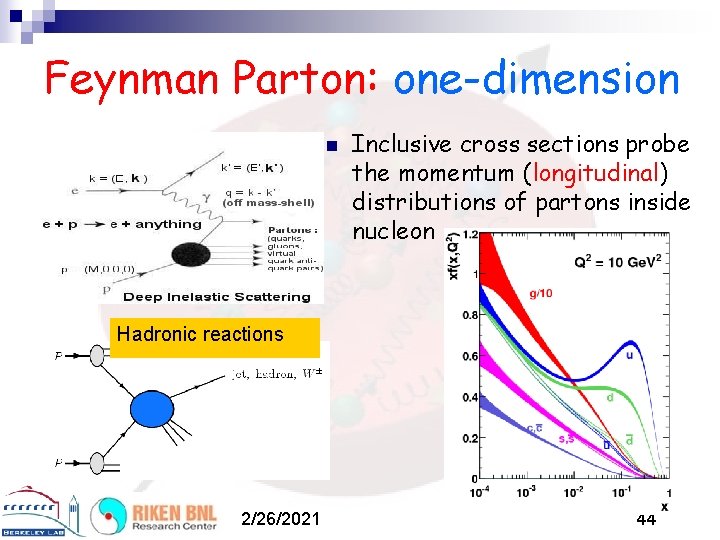 Feynman Parton: one-dimension n Inclusive cross sections probe the momentum (longitudinal) distributions of partons