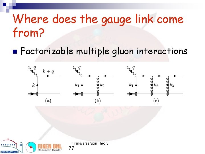Where does the gauge link come from? n Factorizable multiple gluon interactions Transverse Spin