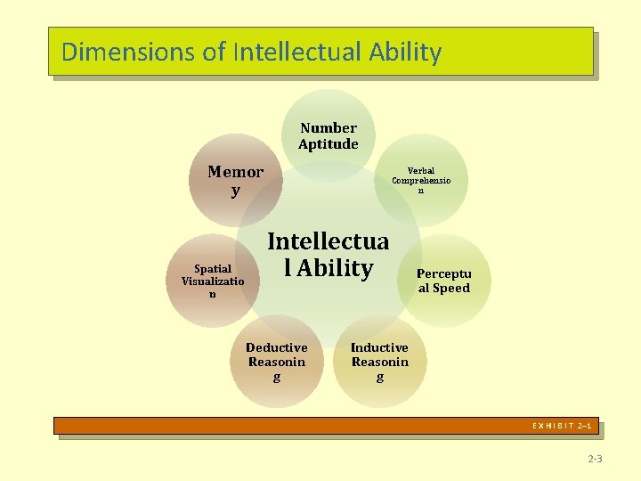 Dimensions of Intellectual Ability Number Aptitude Memor y Spatial Visualizatio n Verbal Comprehensio n