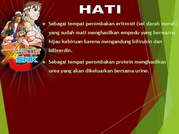  Sebagai tempat perombakan eritrosit (sel darah merah) yang sudah mati menghasilkan empedu yang