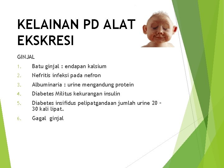 KELAINAN PD ALAT EKSKRESI GINJAL 1. Batu ginjal : endapan kalsium 2. Nefritis infeksi