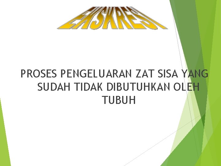 PROSES PENGELUARAN ZAT SISA YANG SUDAH TIDAK DIBUTUHKAN OLEH TUBUH 