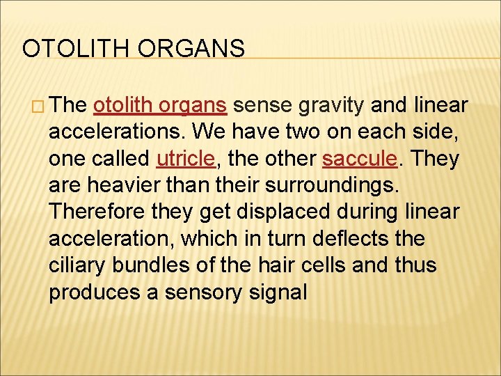 OTOLITH ORGANS � The otolith organs sense gravity and linear accelerations. We have two
