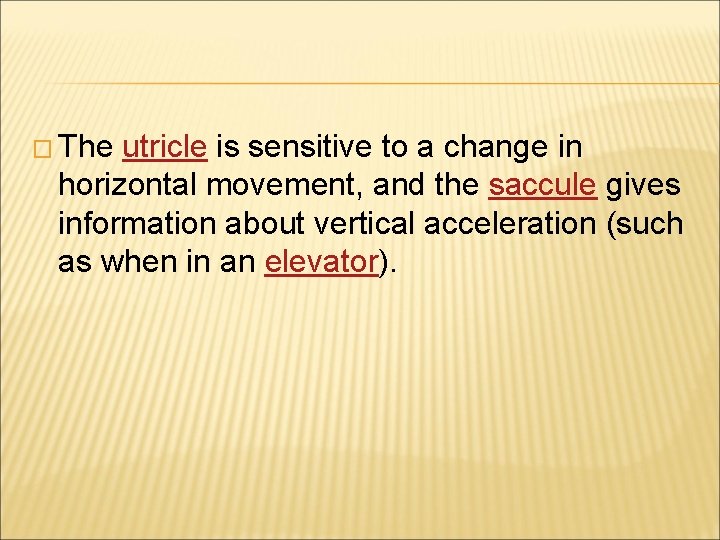 � The utricle is sensitive to a change in horizontal movement, and the saccule