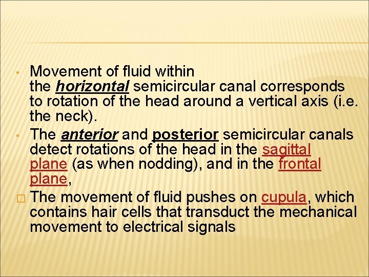 Movement of fluid within the horizontal semicircular canal corresponds to rotation of the head