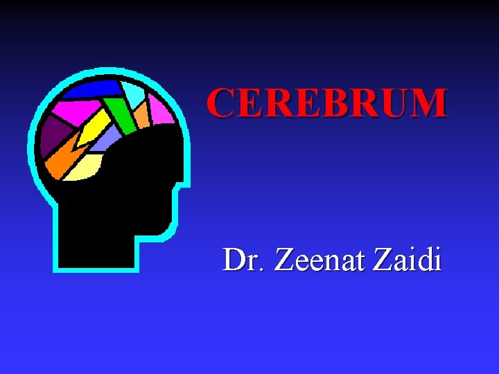 CEREBRUM Dr. Zeenat Zaidi 