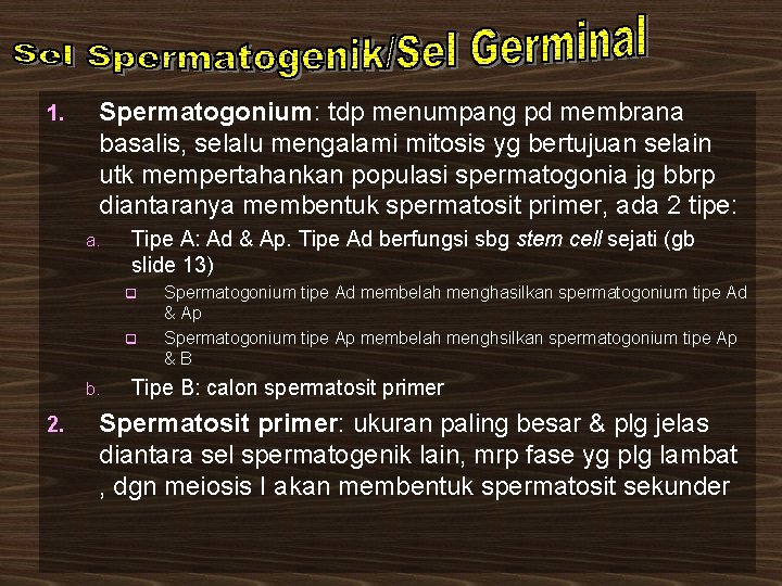 1. Spermatogonium: tdp menumpang pd membrana basalis, selalu mengalami mitosis yg bertujuan selain utk