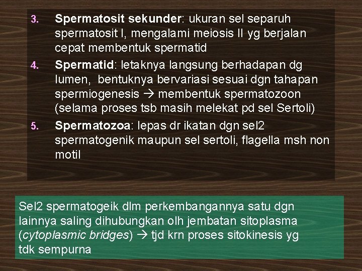 3. 4. 5. Spermatosit sekunder: ukuran sel separuh spermatosit I, mengalami meiosis II yg