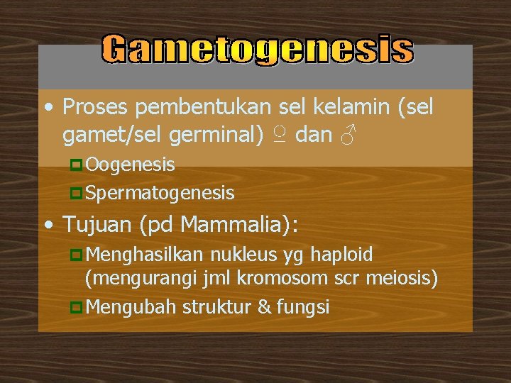  • Proses pembentukan sel kelamin (sel gamet/sel germinal) ♀ dan ♂ p Oogenesis