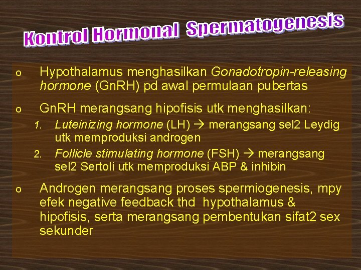 o Hypothalamus menghasilkan Gonadotropin-releasing hormone (Gn. RH) pd awal permulaan pubertas o Gn. RH