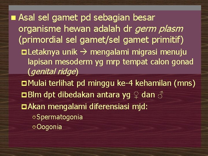 n Asal sel gamet pd sebagian besar organisme hewan adalah dr germ plasm (primordial