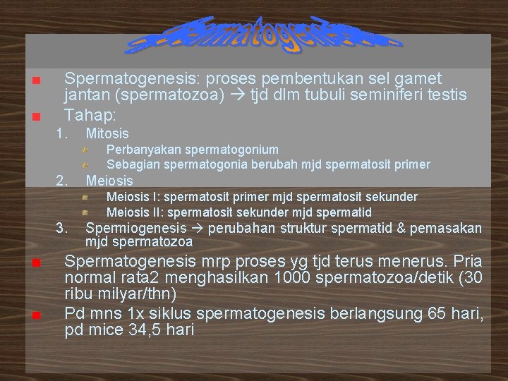 Spermatogenesis: proses pembentukan sel gamet jantan (spermatozoa) tjd dlm tubuli seminiferi testis Tahap: 1.