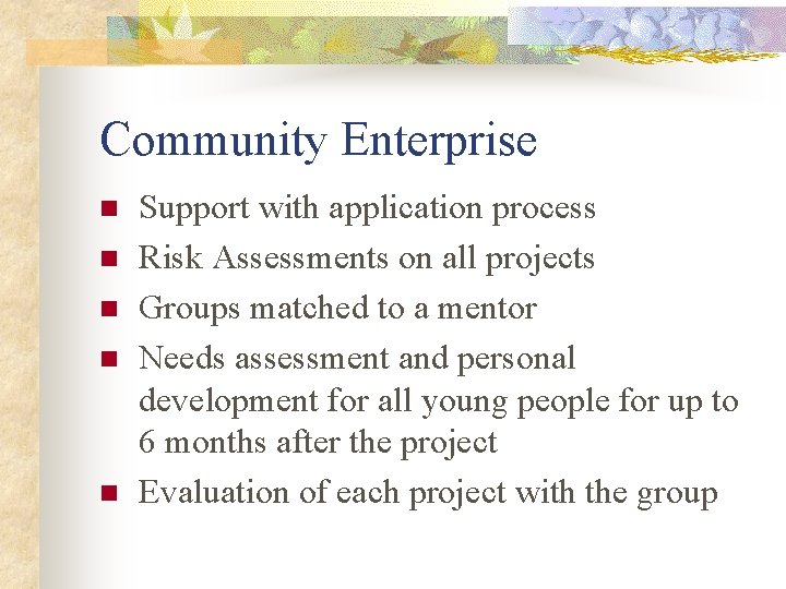 Community Enterprise n n n Support with application process Risk Assessments on all projects