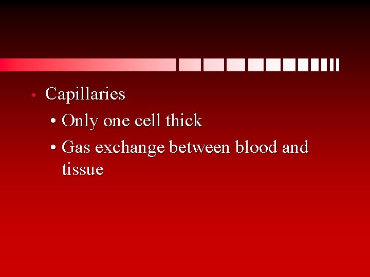  • Capillaries • Only one cell thick • Gas exchange between blood and