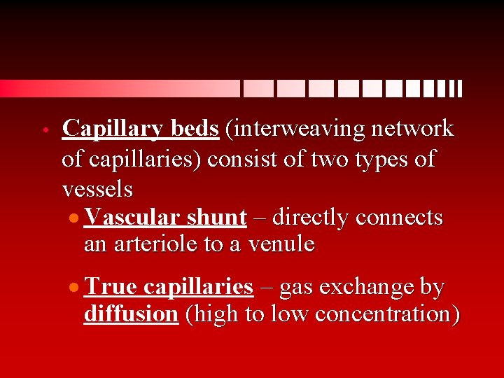  • Capillary beds (interweaving network of capillaries) consist of two types of vessels