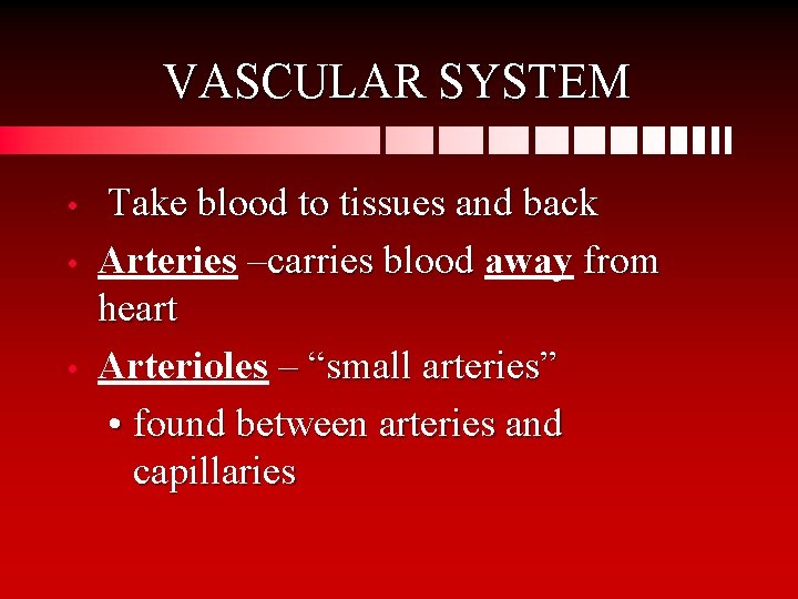VASCULAR SYSTEM • • • Take blood to tissues and back Arteries –carries blood