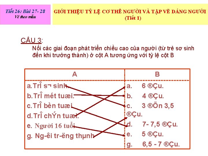 Tiết 26: Bài 27 - 28 Vẽ theo mẫu GIỚI THIỆU TỶ LỆ CƠ