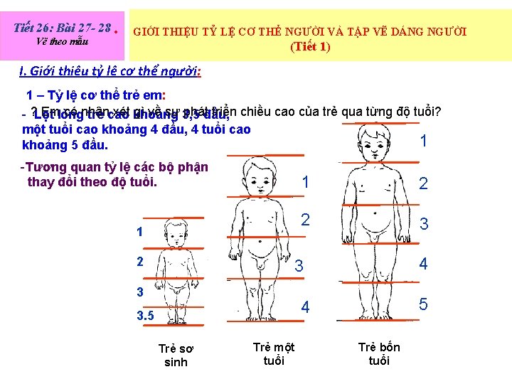 Tiết 26: Bài 27 - 28 • Vẽ theo mẫu GIỚI THIỆU TỶ LỆ