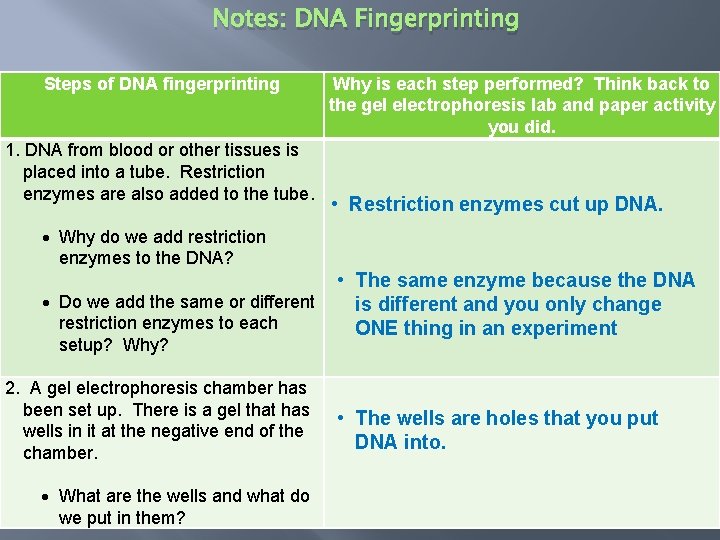 Notes: DNA Fingerprinting Steps of DNA fingerprinting 1. DNA from blood or other tissues