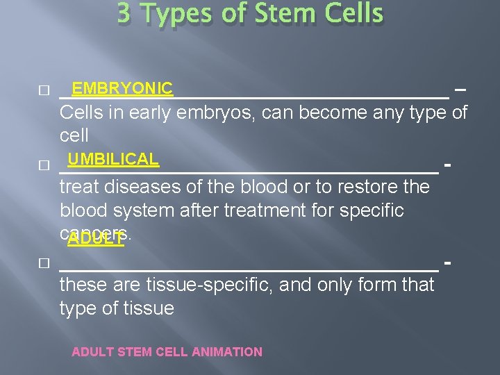 3 Types of Stem Cells � � � EMBRYONIC __________________ – Cells in early