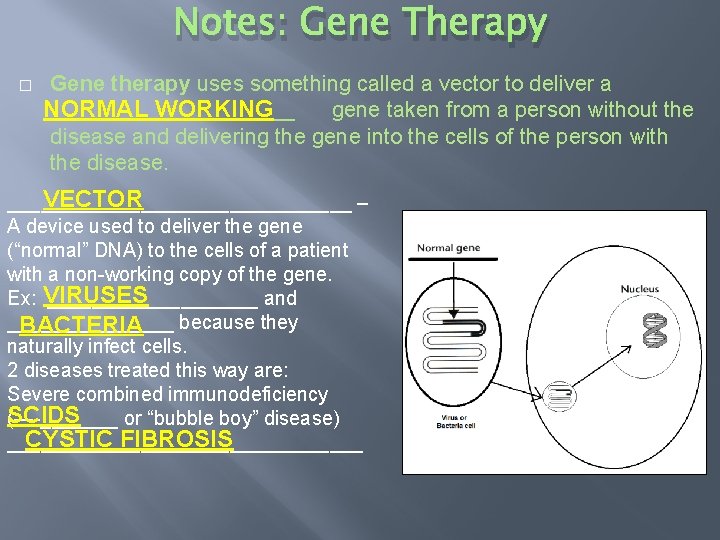 Notes: Gene Therapy � Gene therapy uses something called a vector to deliver a