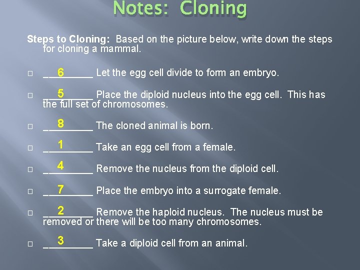 Notes: Cloning Steps to Cloning: Based on the picture below, write down the steps