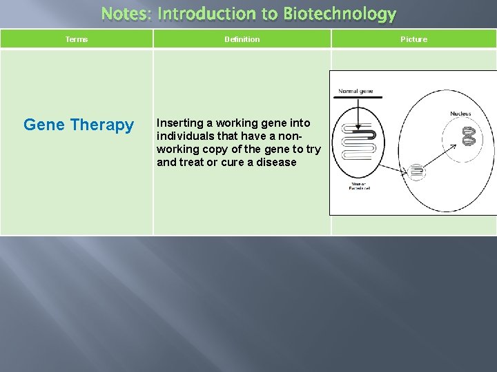 Notes: Introduction to Biotechnology Terms Gene Therapy Definition Inserting a working gene into individuals