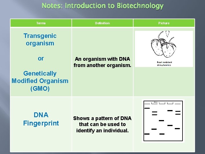 Notes: Introduction to Biotechnology Terms Definition Transgenic organism or An organism with DNA from