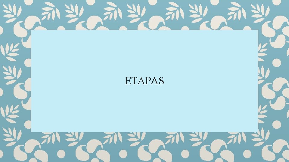 ETAPAS 