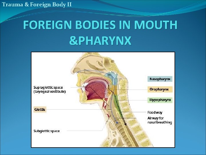 Trauma & Foreign Body II FOREIGN BODIES IN MOUTH &PHARYNX 