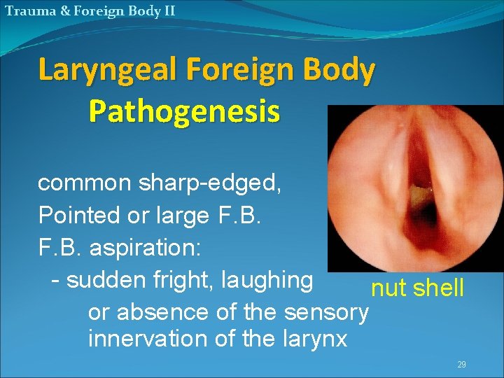 Trauma & Foreign Body II Laryngeal Foreign Body Pathogenesis common sharp-edged, Pointed or large