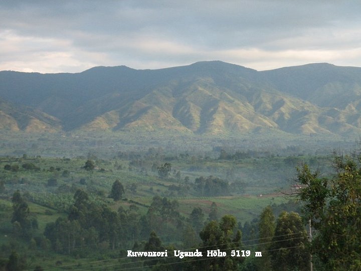 Ruwenzori Uganda Höhe 5119 m 